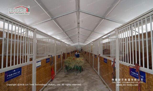 حلبة ركوب الخيل الداخلية معروضة للبيع